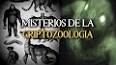 El fascinante mundo de la criptozoología ile ilgili video