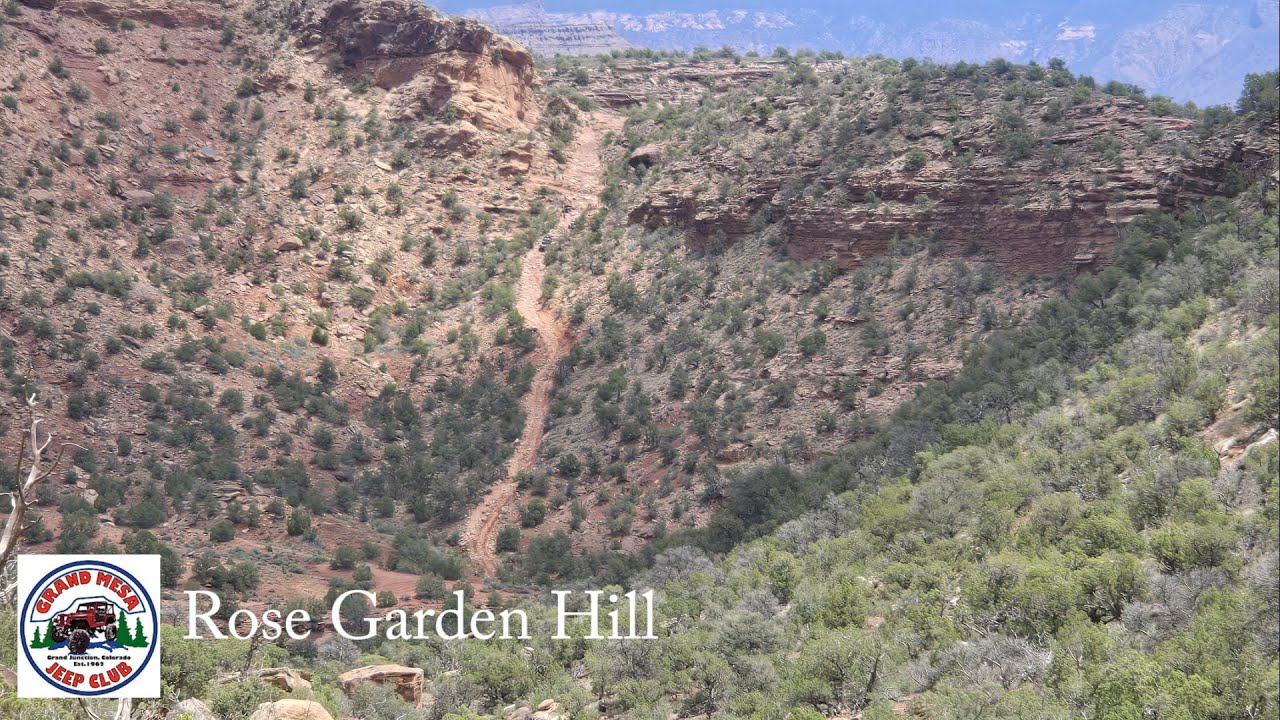 GMJC Rose Garden Hill