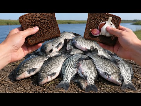 70-Year-Old Fishermen Kept Quiet! CARP GARLIC BAIT!