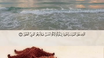 سورة الملك كاملا القارئ نزار تتر
