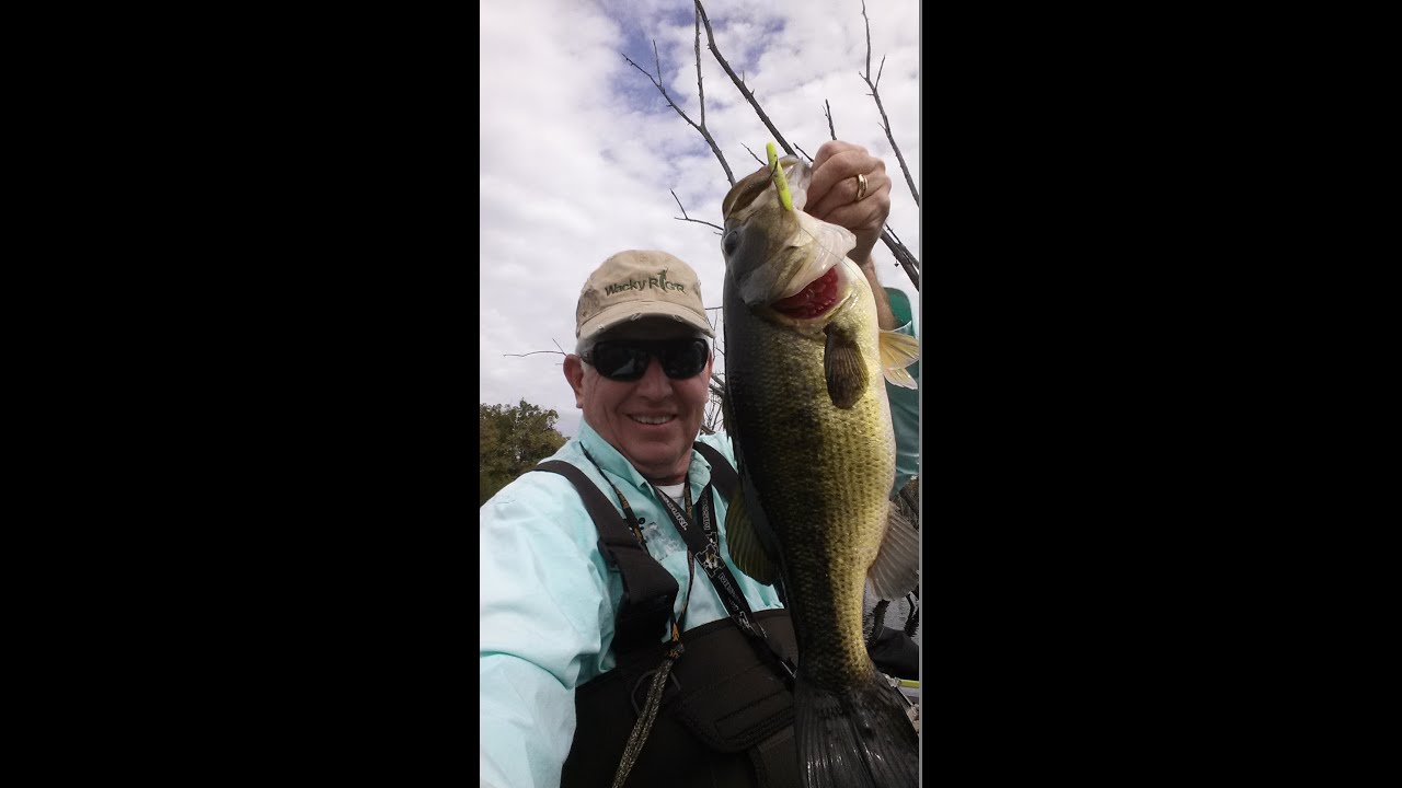 "Heavy Finesse" Bass Fishing in Hydrilla with ZMan TRD YouTube
