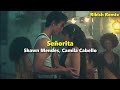 Shawn Mendes Camila Cabello Señorita Rikish Remix