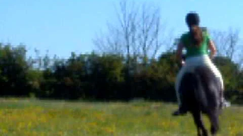 Harry - Canter - 2009