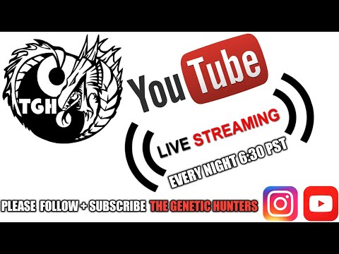 ball python breeders in ohio Reptile Community Live Chat Space
