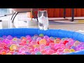 Can Cats Walk On Water Balloons?