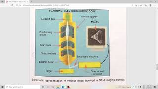 Characterisation tools-Part 5-Scanning Electron microscope-Components and working