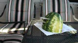 Card throwing through a watermelon