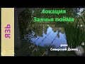 Русская рыбалка 4 - река Северский Донец - Язь под раскидистым деревом