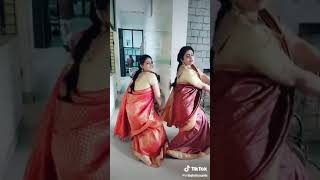 Nayagi Serial Sumathi Megala Tiktok