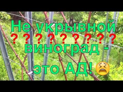 УКРЫВАТЬ или НЕ