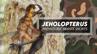 Jeholopterus - Small Anurognathid Pterosaur
