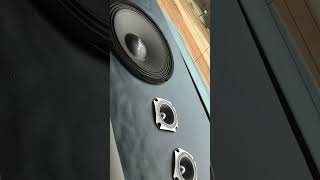 Skar Audio 10 inch Midrange on Taramp 400 x 4 Demo #skaraudio
