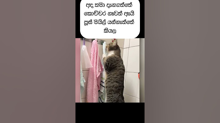 අද දැනගත්ත අය ඉන්නවද?😁😁🫠#trending #goviralshorts #funny #cat #viralshort #1000like  #1000subscriber