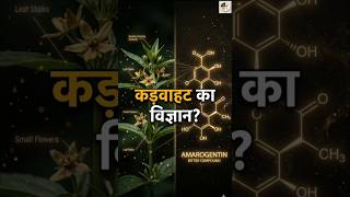 चरयत कडवहट दव कस बन? Chirata Explained