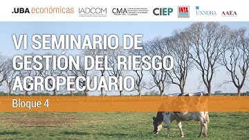 VI Seminario de Gestión del Riesgo Agropecuario 2025 - Bloque 4