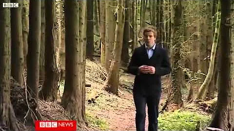 BBC News, Rebecca Aylward murder Joshua Davies, 16...