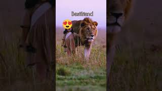 little boy friendly with lion