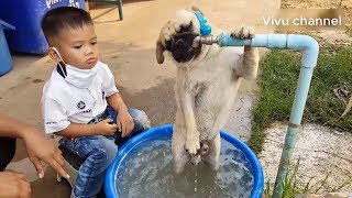 Funny Video Falls - Can Not Stop Laughing Vivu Channel