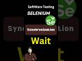 Implicit vs Explicit Waits in Selenium: Which One Should You Use? - synchronization Selenium - wait