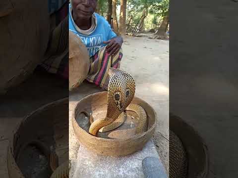 Main Tera Dushman