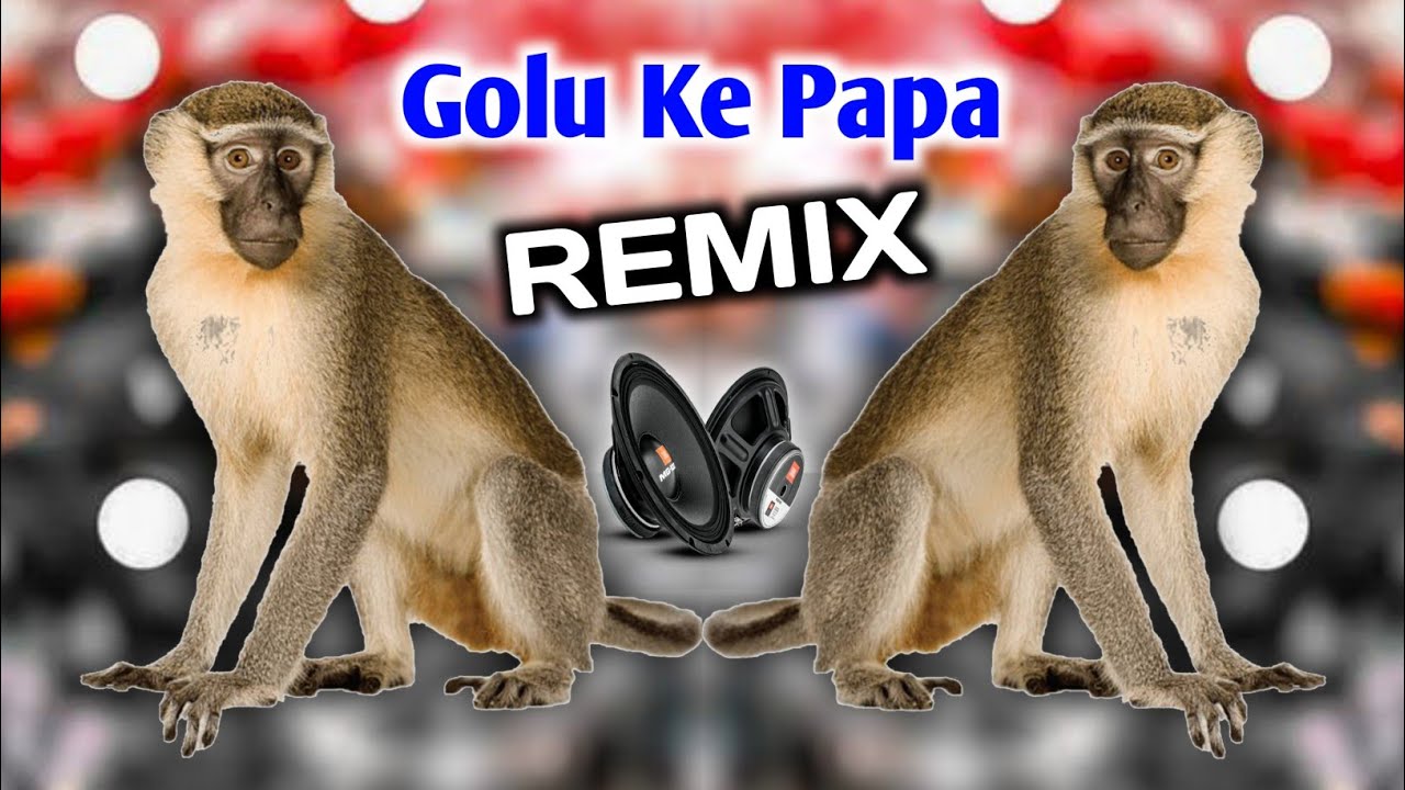 Golu Ke Papa Dj Remix   funny song  para para para  hard bass  DJ AJAY BHAI MORENA