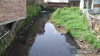 Kali Lanang Yg Perkasa