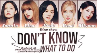 Blackpink Ot5 With Miyeon - Dont Know What To Do Colors Coded Lyrics Ai Cover