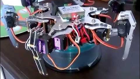 Hexapod phoenix test Servo