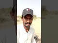 أنا أسافر على عربة الجمال الخاصة بي عبر طرق الغابة
