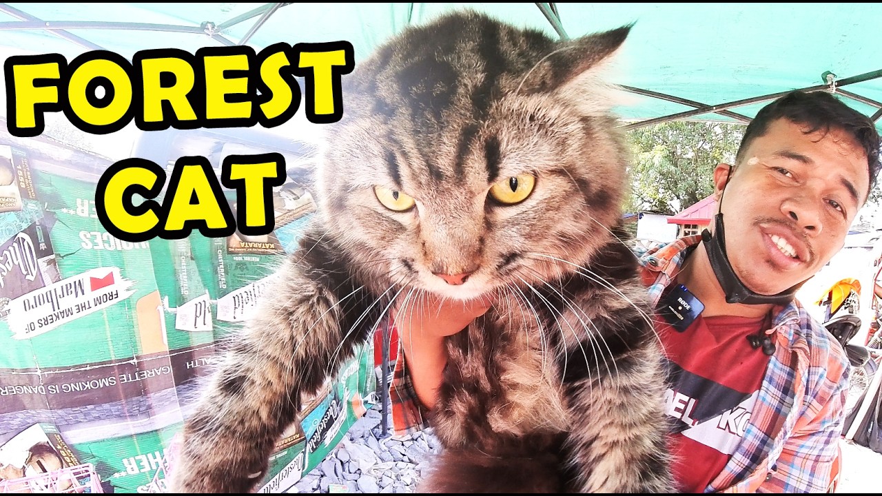 PET TIANGGE IN BOCAUE BULACAN EVERY FRIDAY