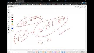 Respiratory System for USMLE : Lecture 2.0 by Nahid