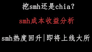 chia16p压缩图不如smh500T收益chia玩家可以转战了