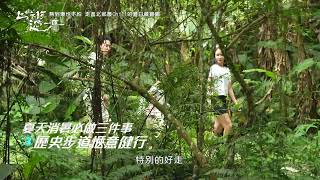 夏日消暑三大神操作🔥溪邊烤肉玩水、奇葩冰品挑戰、歷史步道爽快健行! EP202預告 上山下海過一夜