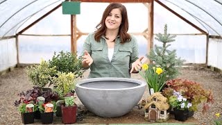 Spring Fairy Garden (Full Version)