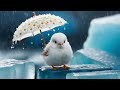 Light Music for Stress Relief | Calm Your Mind with Peaceful Sounds & Gentle Bird Songs