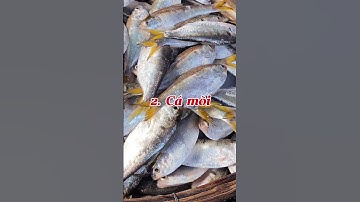 4 loại cá dành cho người nhiễm mỡ #dinhduong #dexuatyoutube #health #viralvideo #meovatcuocsong