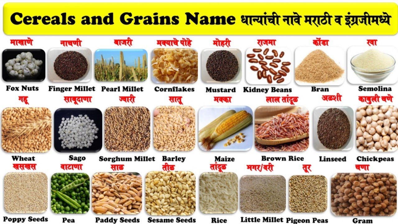 cereals and grains name in english and marathi for kids samriddhi tv