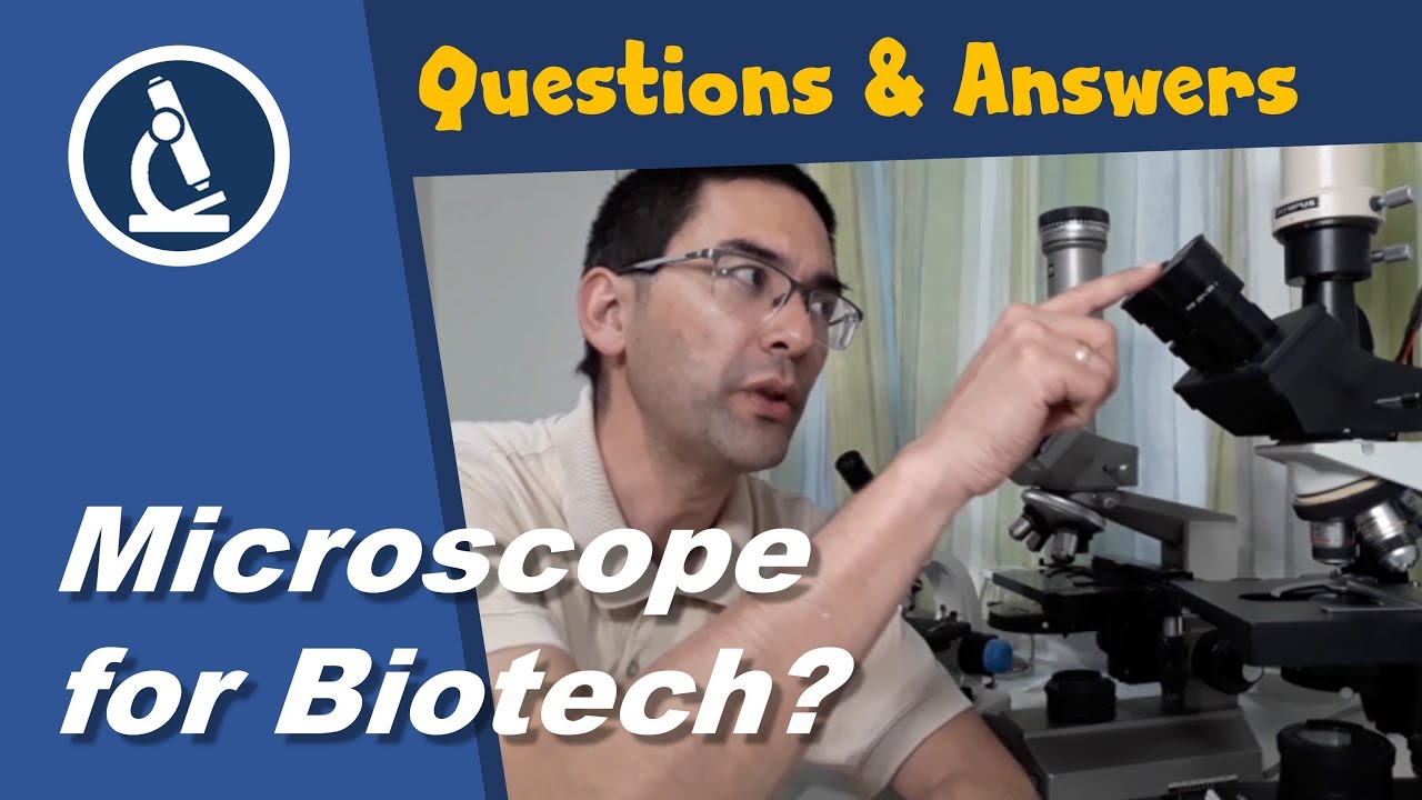 How Is Microscope Used In Biotechnology?