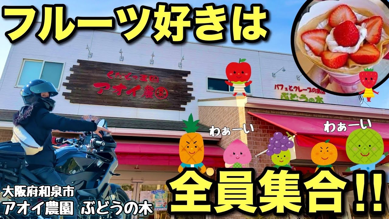 Wakayama Touring] For delicious fruit, visit Aoi Farm! [SR400