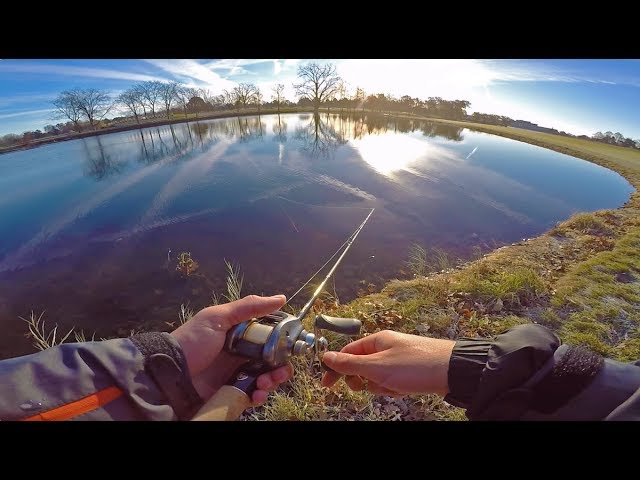 COLD Water Bass CRUSH These Baits!