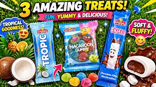 Tropic Coconut Bar vs Macaroon Gummy vs Fluffy Marshmallow | Sweet Candy Challenge & Taste Test