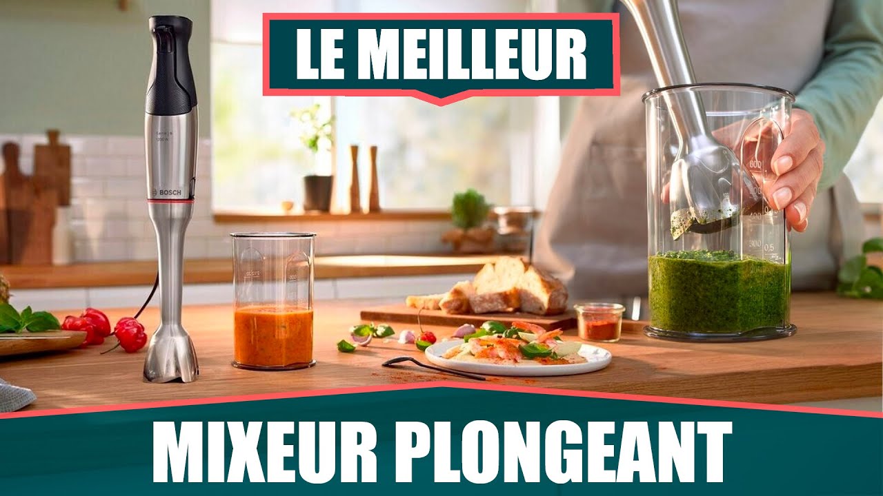 LE MEILLEUR MIXEUR PLONGEANT - BOSCH ErgoMaster Series 6 