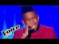 Run to you  whitney houston  lisandro  the voice kids 2015  blind audition