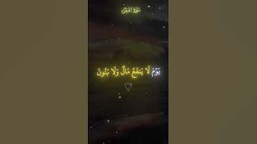 اذكر الله |  #قرآن_کریم#قرآن#ياسر_الدوسري#محمد_اللحيدان#quran#القرآن_الكريم#تلاوة_خاشعة#تلاوة#قرآن
