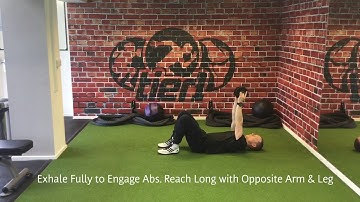 Full Dead Bug with Hand Weights