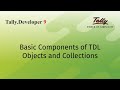 Basic Components of TDL | Objects and Collections