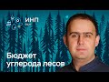 Управление бюджетом углерода лесов в России и его пространственная геторогенность