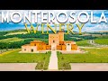 STATE-OF-THE-ART 125-HA ORGANIC WINERY AND VINEYARDS FOR SALE IN VOLTERRA, TUSCANY | ROMOLINI