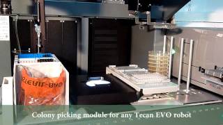 Pickolo - a colony picker for Tecan robots