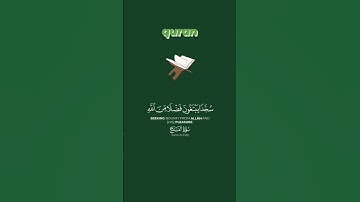 #سورة_الفتح || جزء من الآية 29 ||#explore #quran #reels #reels #instagram #beautiful #cute #beauty